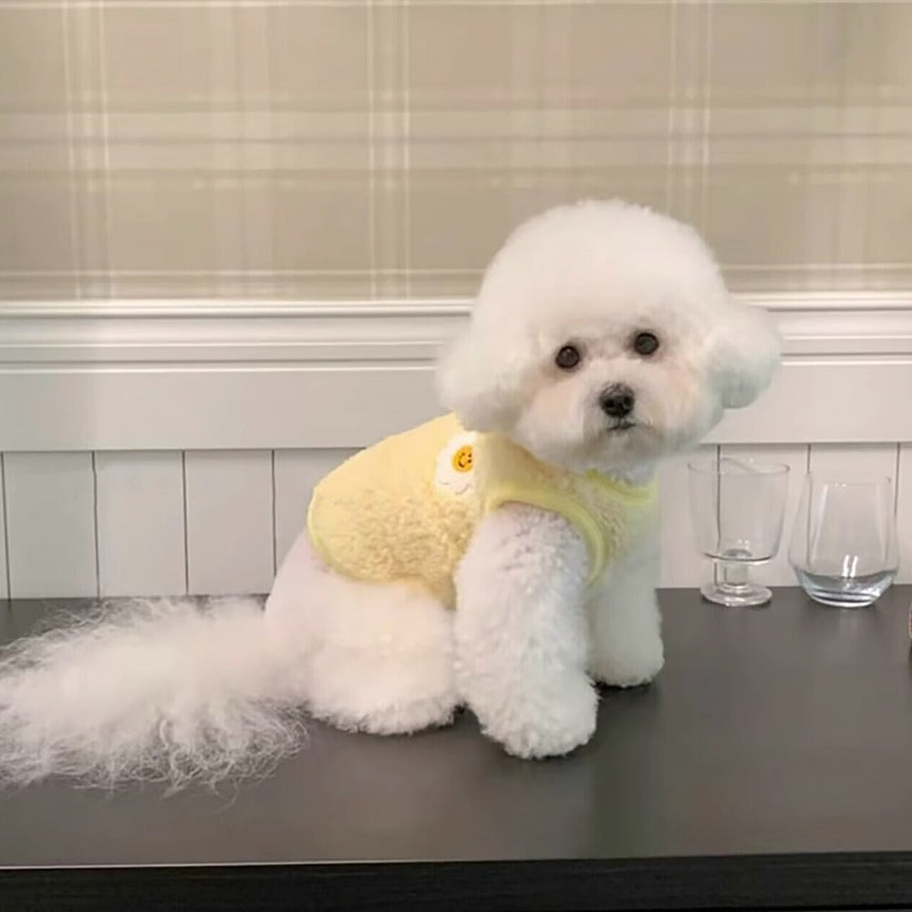 yellow dog winter cloth langerland