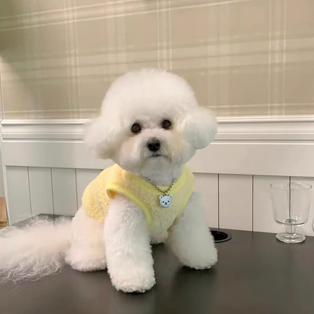 cute dog warm sweater langerland yellow