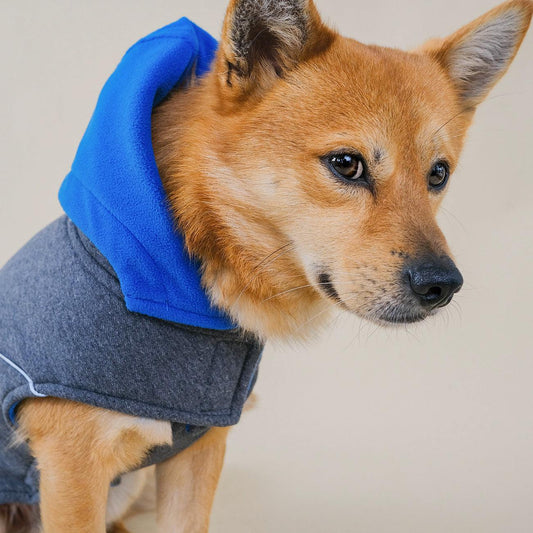 Reversible dog fleece hoodie Blue - LANGERLAND