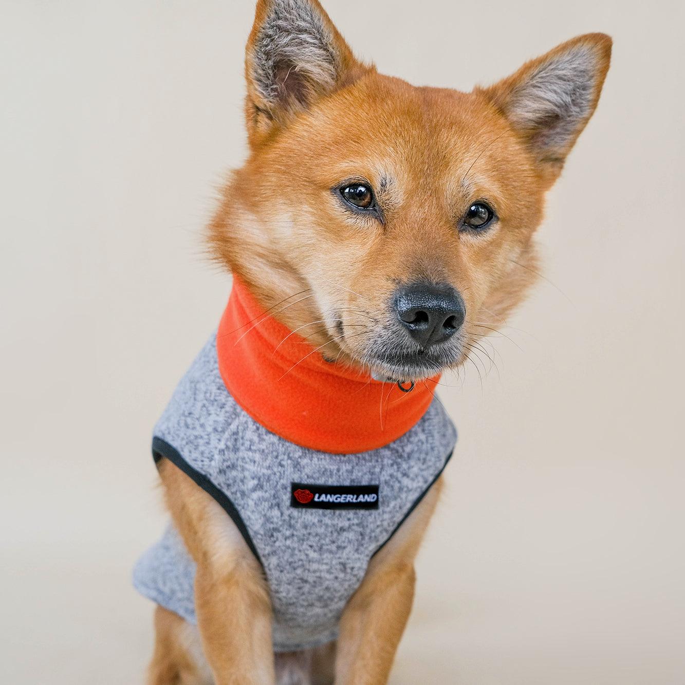 dog-zipper-fleece-sweater-winter-orange-langerland