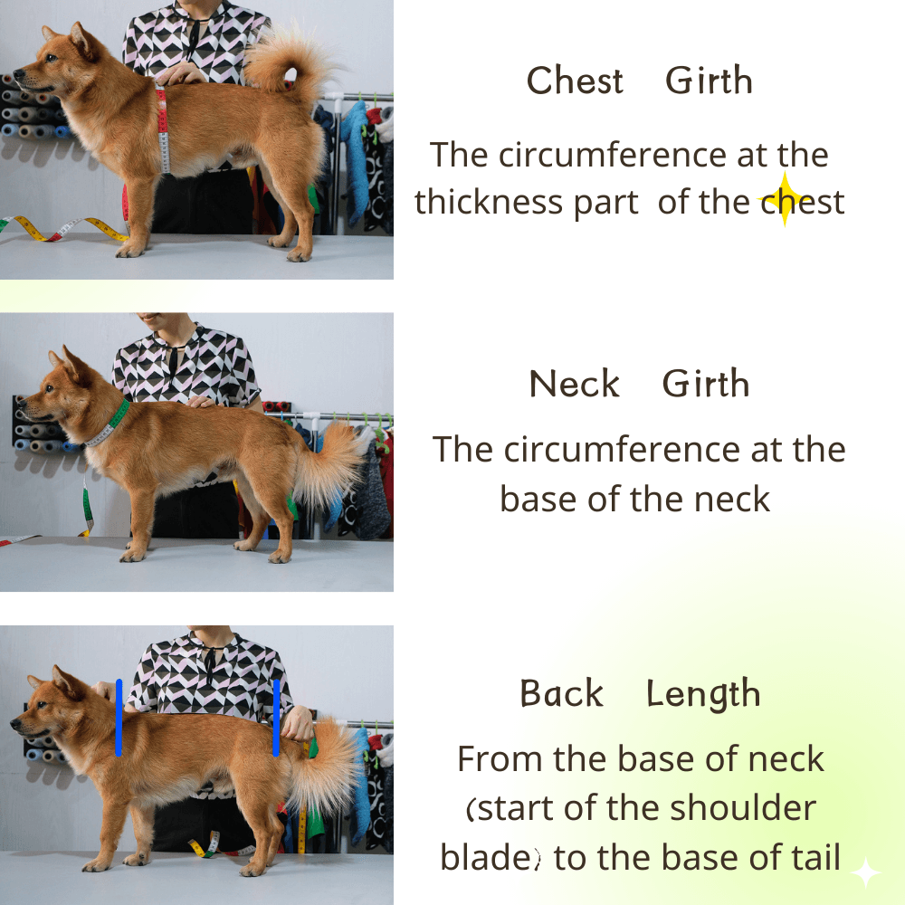 how to measure your dog langerland