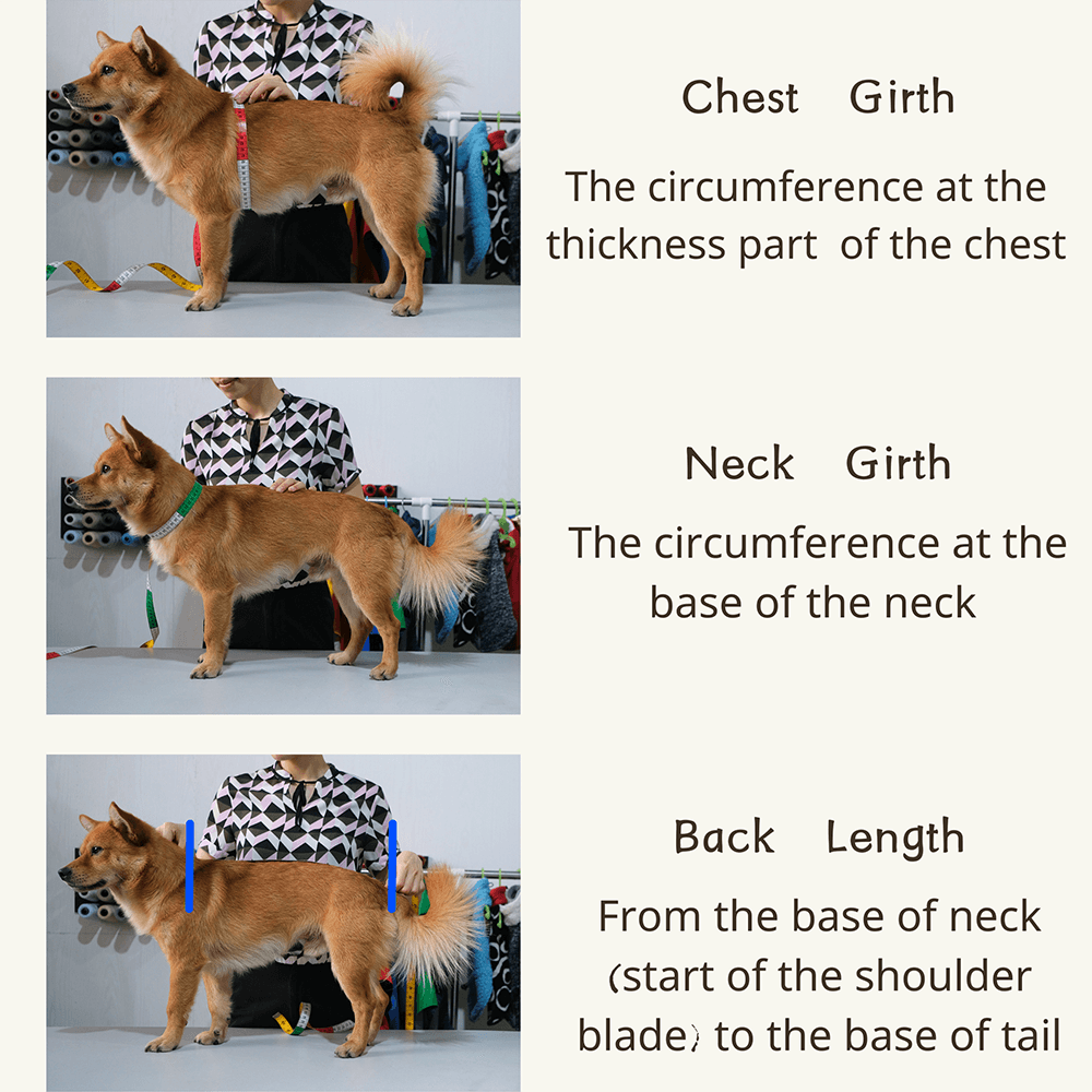 size chart dog raincoat langerland