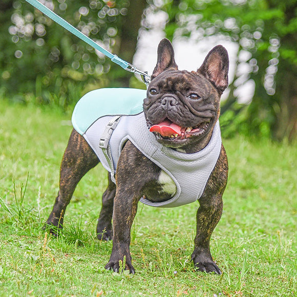 dog cooling summer coat blue langerland