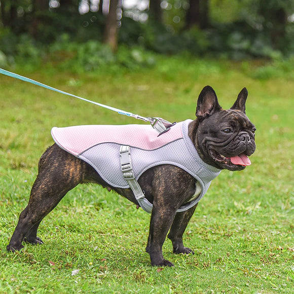 dog cooling coat pink langerland