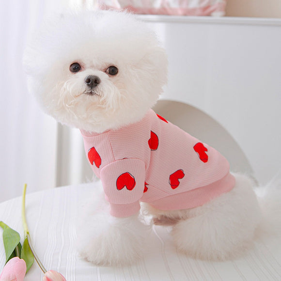 bichon summer cloth langerland cute shirt