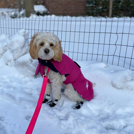dog winter fleece coat pink langerland