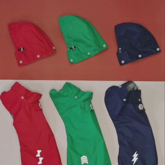 dog raincoat video red navy green
