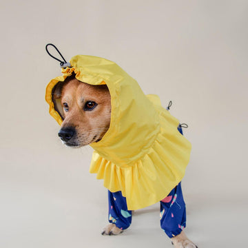 dog waterproof raincoat with hood yellow