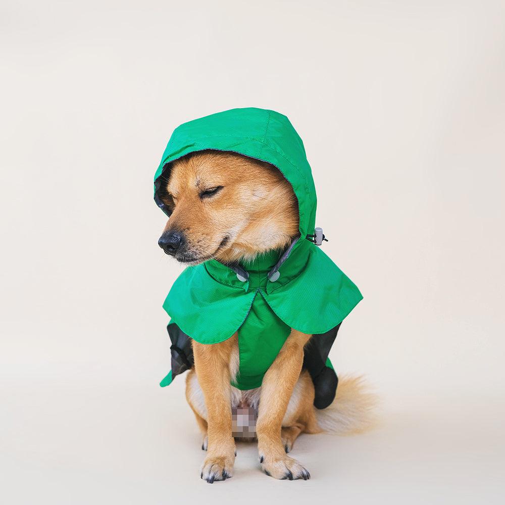 dog raincoat with hood green langerland