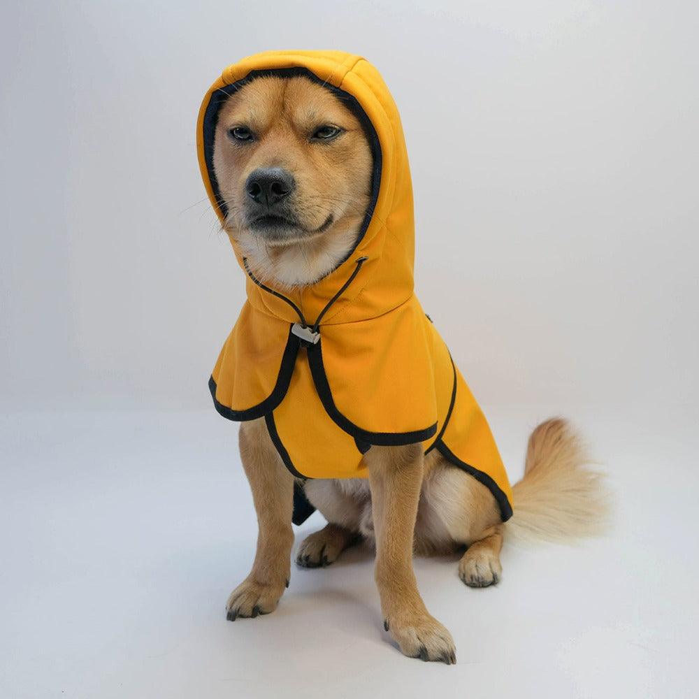 waterproof dog winter coat hoodie yellow