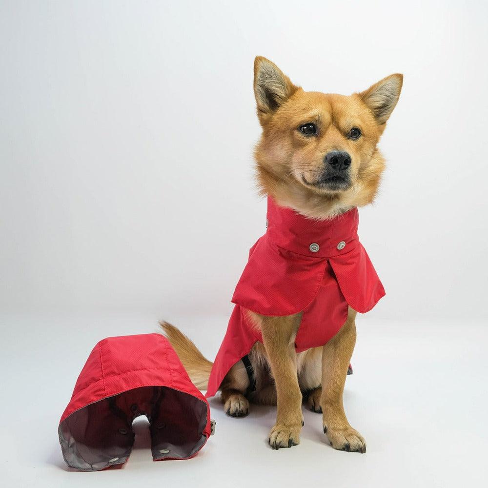 dog raincoat poncho with hood langerland