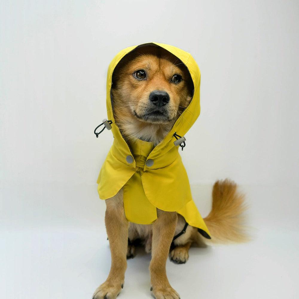 dog raincoat waterproof yellow langerland