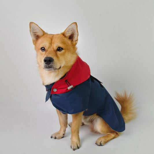 Waterproof Raincoat dog outdoor cloth - LANGERLAND