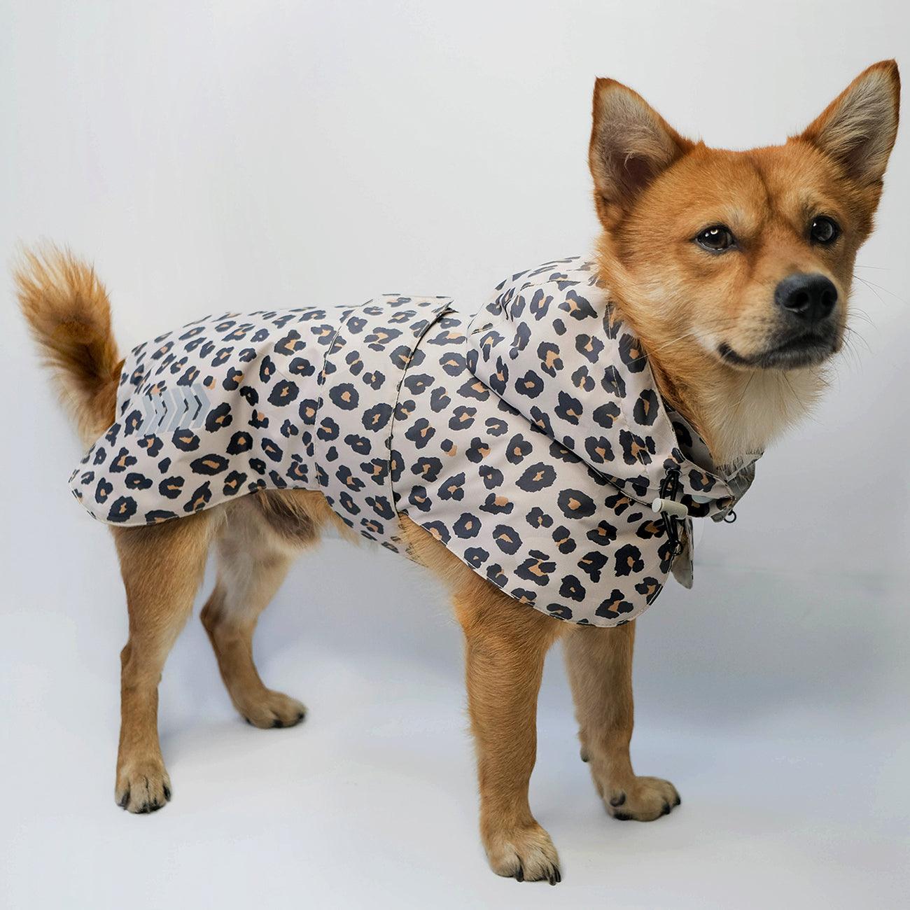 Waterproof dog Raincoat Leopard - LANGERLAND