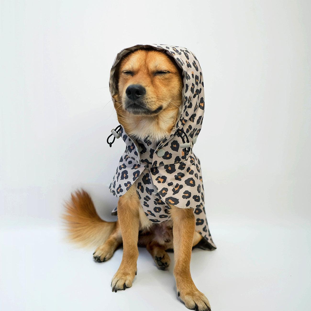 waterproof dog raincoat with hood leopard langerland