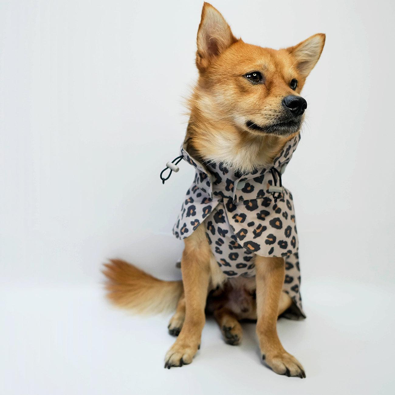 handmade dog raincoat with hood leopard