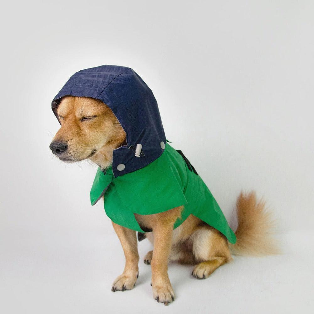 lightweight dog raincoat with hood langerland