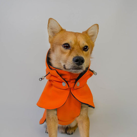 dog halloween coat orange waterproof langerland