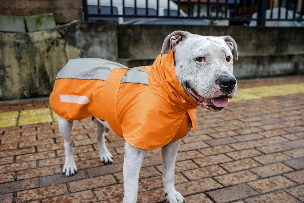 waterproof large dog raincoat orange