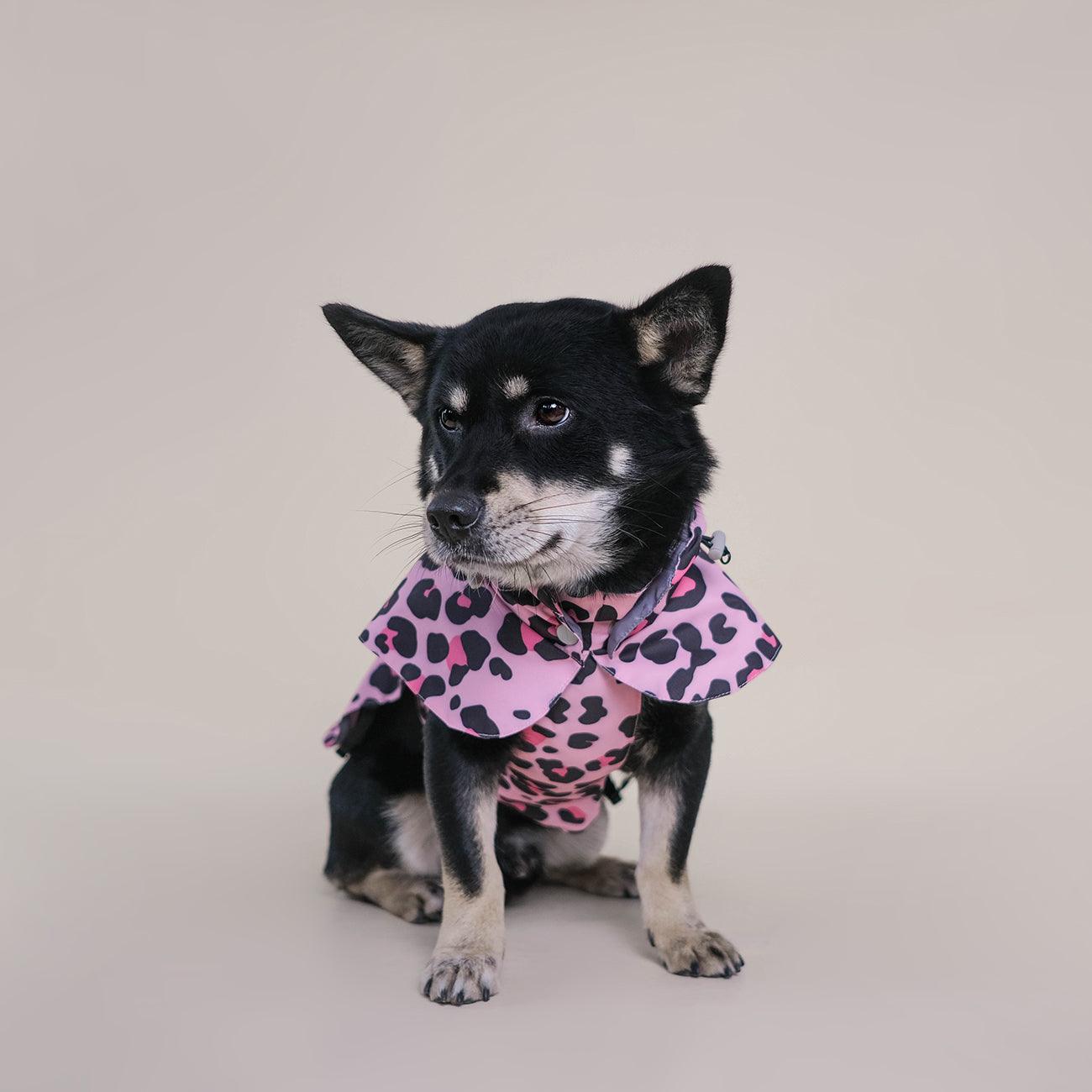 langerland pink leopard dog raincoat