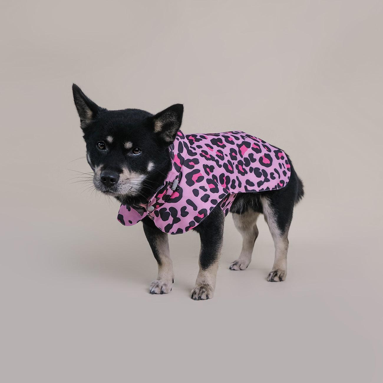 langerland pink leopard dog raincoat